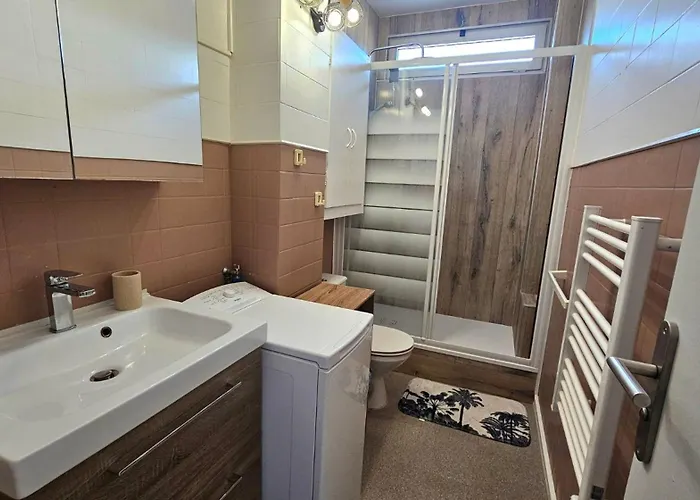 Bel Cosy 4 Pers Spacieux Clim Acces A La Apartman *