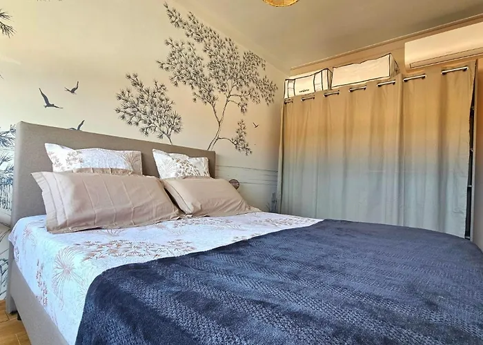 Bel Cosy 4 Pers Spacieux Clim Acces A La Apartman