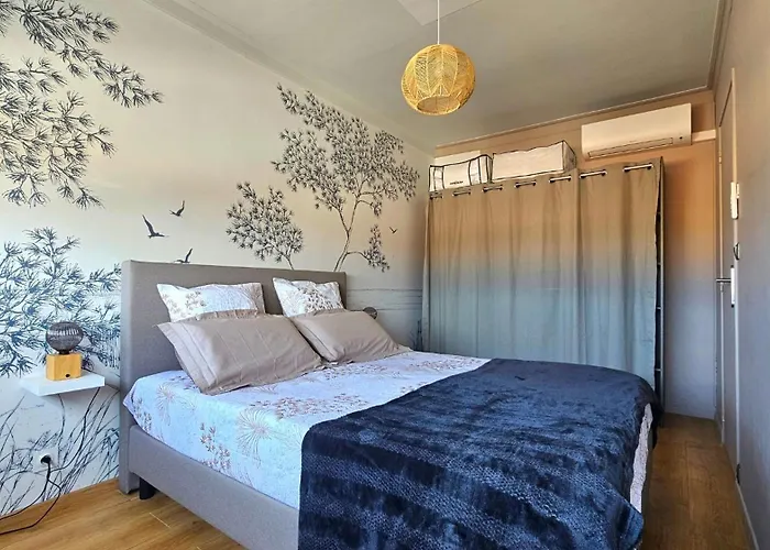 Bel Cosy 4 Pers Spacieux Clim Acces A La Apartman *