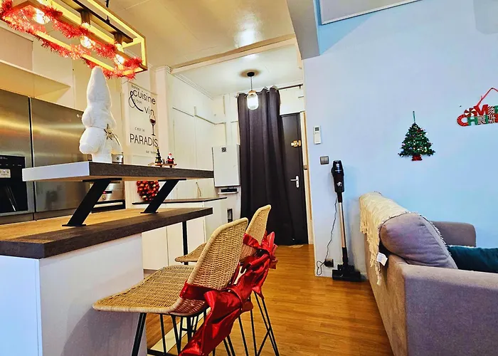 Bel Cosy 4 Pers Spacieux Clim Acces A La Apartman